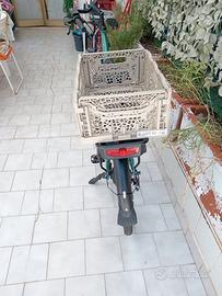 Bici elettrica