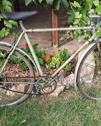 Bianchi Folgorissima anni 50 tutta consona