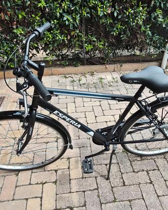 bici da uomo