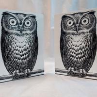 Fornasetti reggilibri 