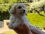 Immagine 5