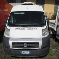 FIAT DUCATO FRIGO 35 LH2 2.3 Multijet 16V Zanotti