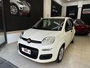 fiat-panda-1-2-easy-km-66-100-2016