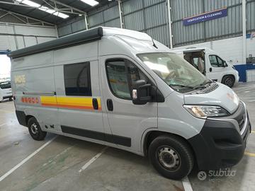 Fiat Ducato L3H2 CaraBus PopTop 600MQ