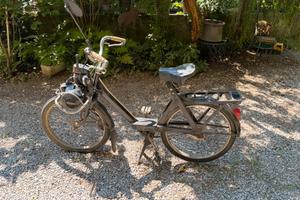 Solex