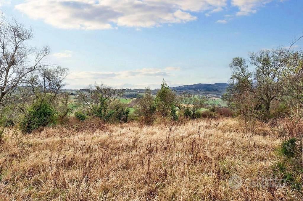 Immobile in asta di 25990 m² a Montefalco - Vista 3