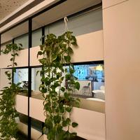 Fioriera elegante in ferro a 3 livelli per piante