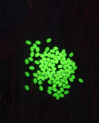 Pesca, Perline Luminescenti 0.3*0.4mm 