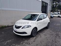 Lancia Ypsilon My24 402 Platino 1.0