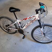 bici bimbo 24"