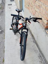 Rock rider bicicletta 