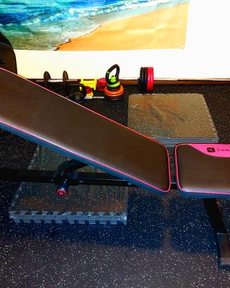 panca domyos bench 500