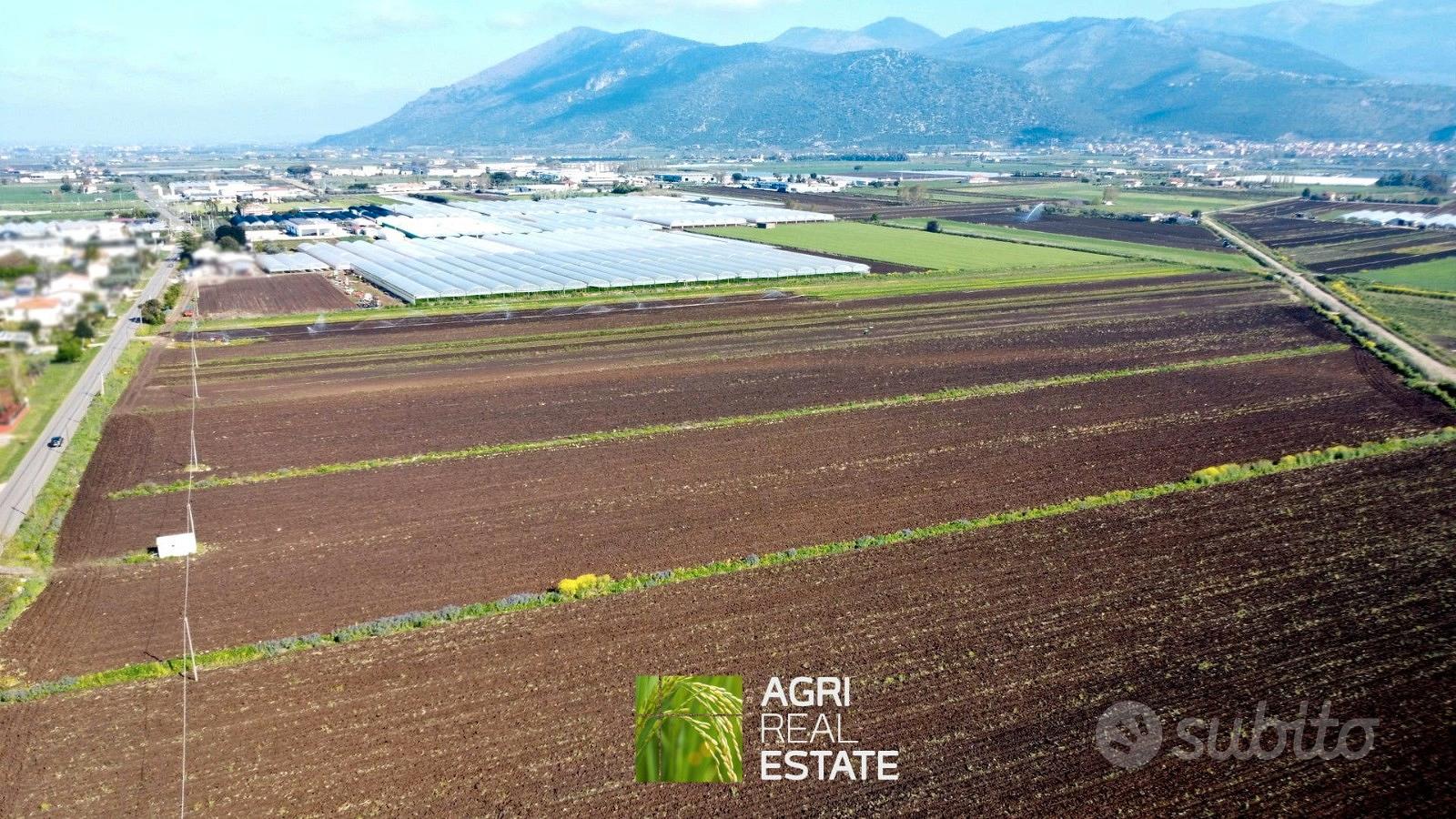 Terreno agricolo 4 ettari fronte strada con pozzo - Vista 2