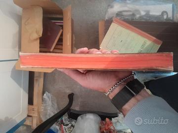 Poupee de Joie di René Maizeroy