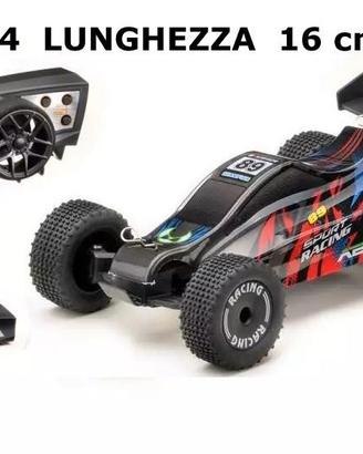 AUTO RADIO GUIDATA DA APPARTAMENTO