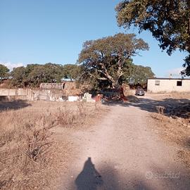 azienda agricola