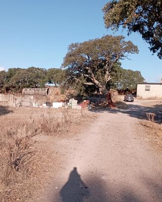 azienda agricola