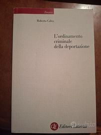 L'ordinamento criminale della deportazione