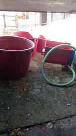 Macina uva elettrico e tini