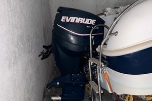 Evinrude 150 E-Tec