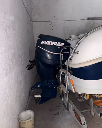 Evinrude 150 E-Tec