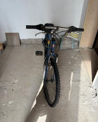 Bici atala
