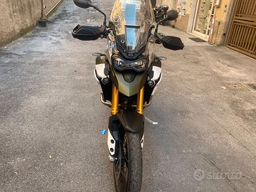 TRIUMPH Tiger 900 Rally Pro