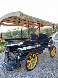 Carrozza wagonette coperta