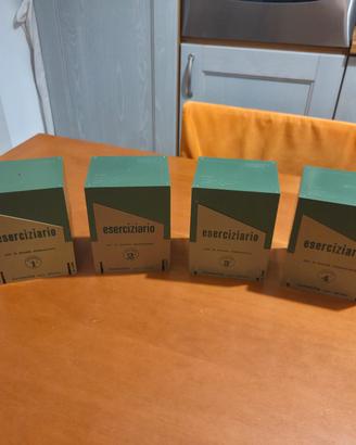 eserciziario juvenilia