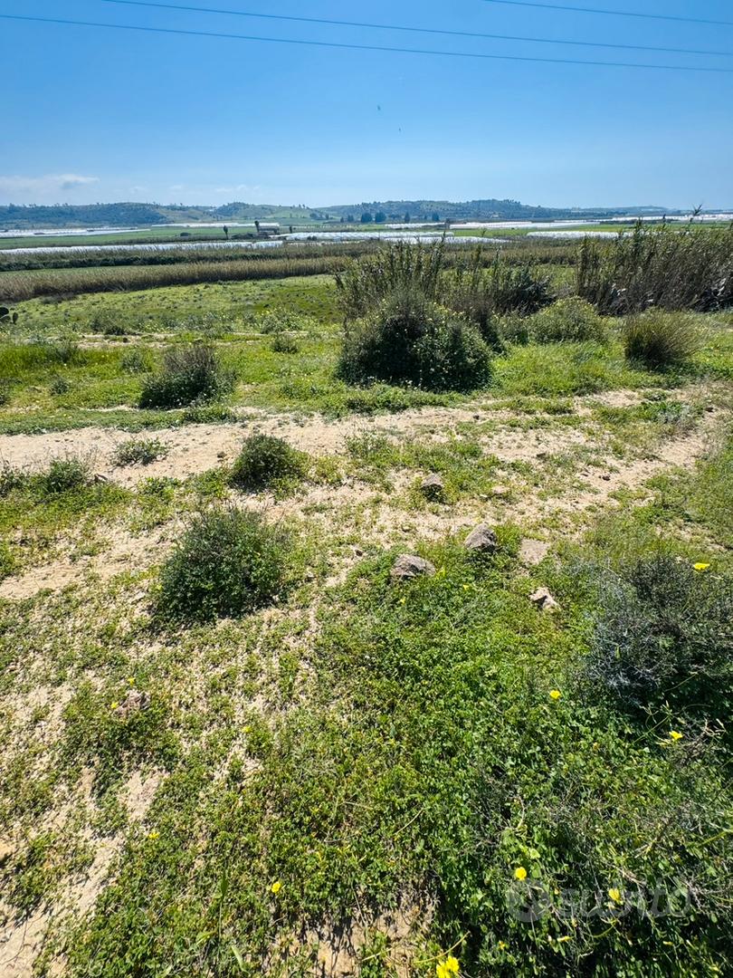 Terreno in contrada Feudo Nobile a Gela (CL) - Vista 5