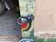 Immagine 1