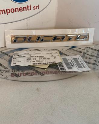 1374793080 SCRITTA POSTERIORE DUCATO