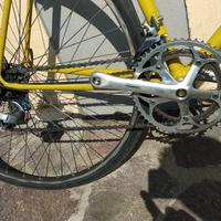 Bici vintage olmo eroica