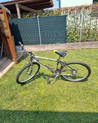 bici mt-bike uomo cerchi da 26
