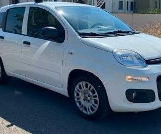 Vettura Autocarro di piccole dimensioni