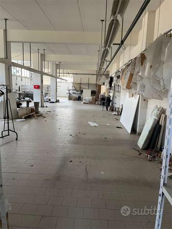 Laboratorio a Monte San Vito