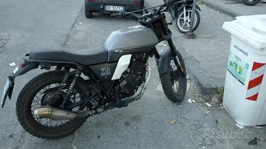 Brixston glavinelli 250