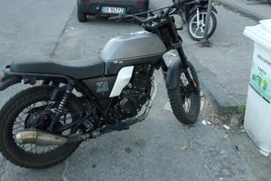 Brixston glavinelli 250