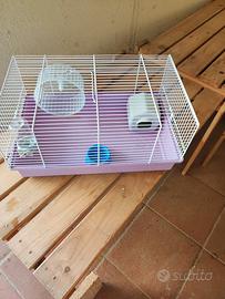 gabbia per criceto con accessori 