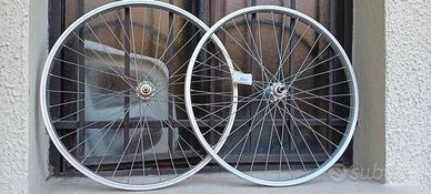 Cerchioni bicicletta