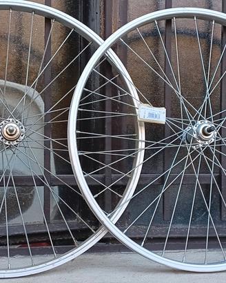 Cerchioni bicicletta