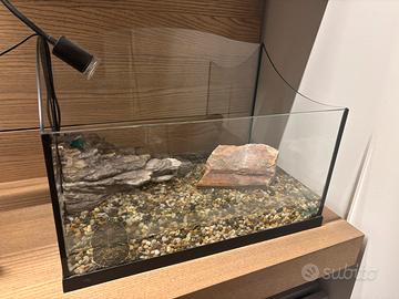 Acquario per  tartarughe