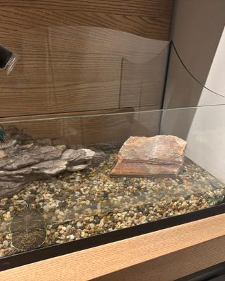 Acquario per  tartarughe