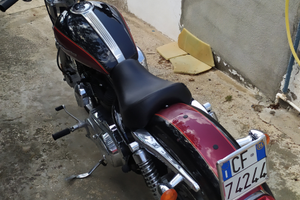 Harley Davidson sportster 1200 custom