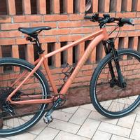MTB Lombardo 29