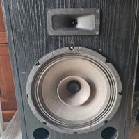 Casse Indiana line AMX 