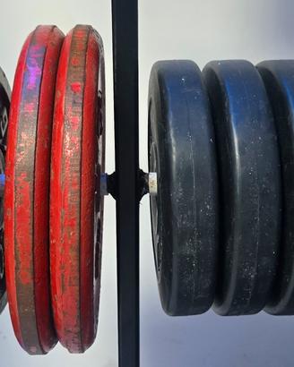 Set 8 Dischi Pesi Palestra – 40 KG Totali