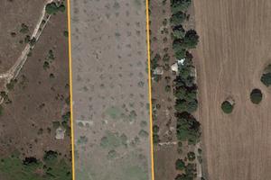 Castel del monte terreno agric vigneto mandorleto