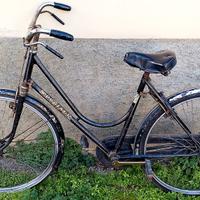 bicicletta
