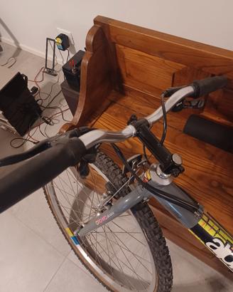 bicicletta mountain bike
